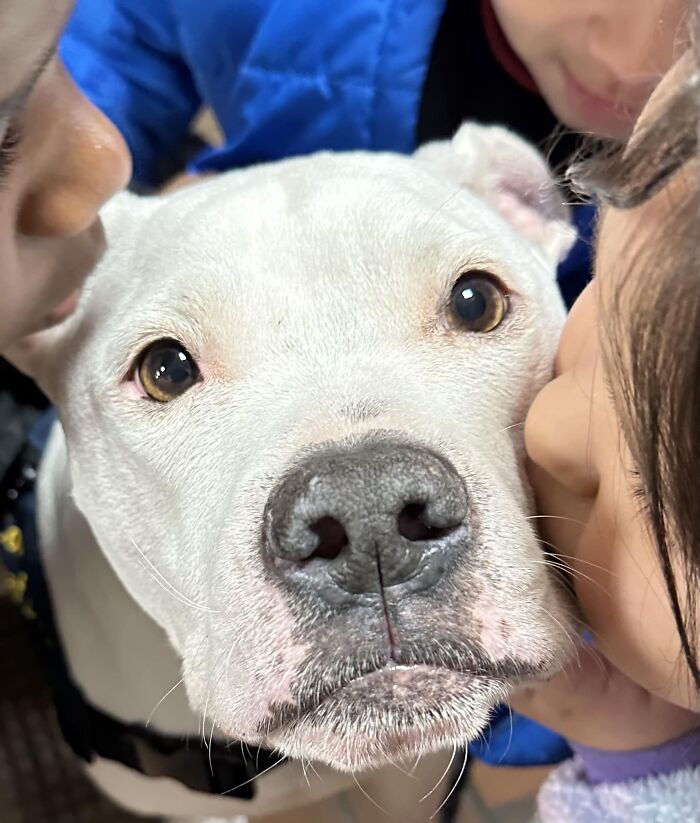 Children hugging their deaf therapy dog, celebrating its birthday.