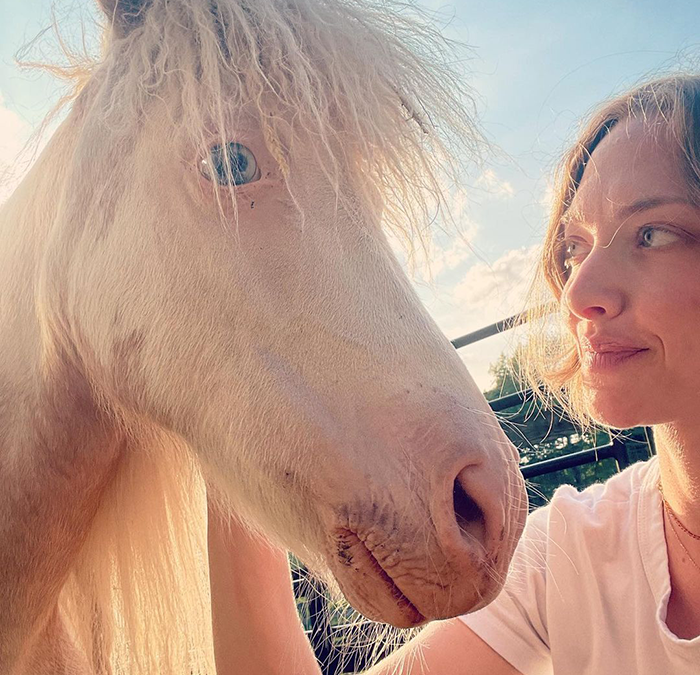 Amanda Seyfried Reveals Why Leaving Hollywood Was The “Best Decision” Amanda Seyfried Reveals Why Leaving Hollywood Was The “Best Decision”