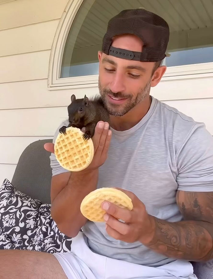 Woman Speaks Out After Entire Internet Accuses Her Of Having Peanut The Squirrel Euthanized