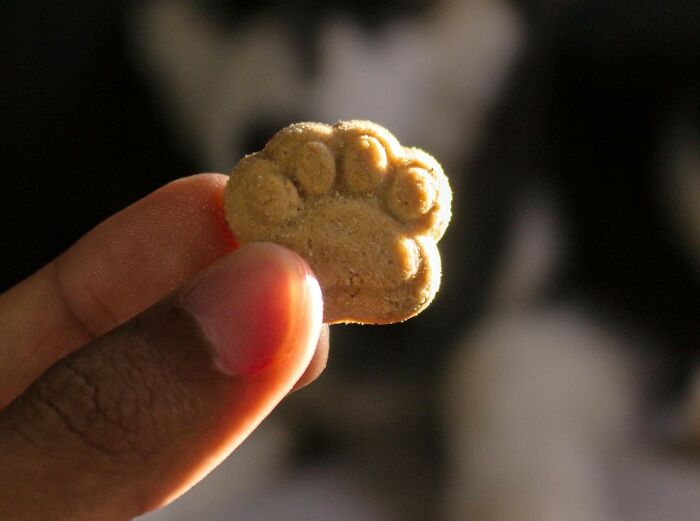 “I’m Guessing He Was Very Popular In Prison”: 50 Times Popular Kids Seriously Messed Up