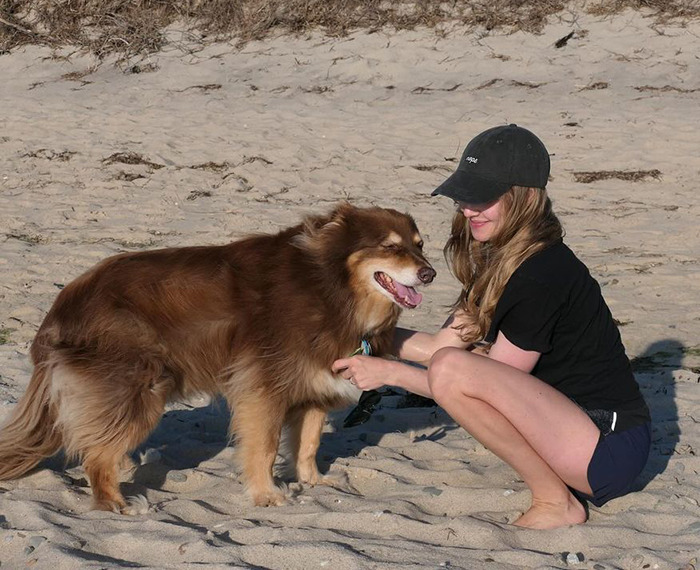 Amanda Seyfried Reveals Why Leaving Hollywood Was The “Best Decision” Amanda Seyfried Reveals Why Leaving Hollywood Was The “Best Decision”