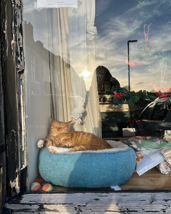 Tomada en Tideswell, Inglaterra, por @thisisgrace_