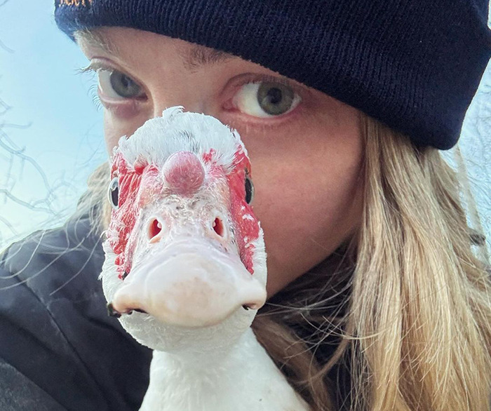 Amanda Seyfried Reveals Why Leaving Hollywood Was The “Best Decision” Amanda Seyfried Reveals Why Leaving Hollywood Was The “Best Decision”