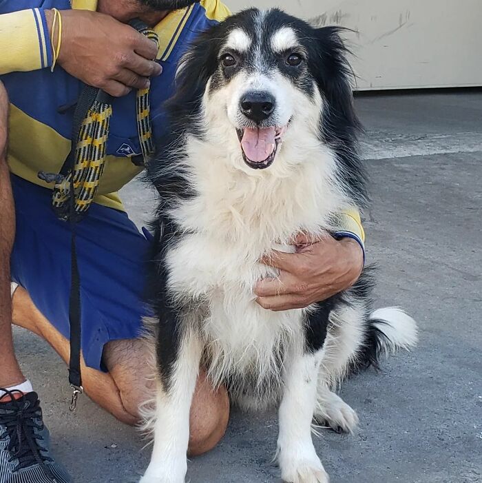 Mailman Takes Selfies With Every Animal That He Befriends While On His Job, And Here Are The Newest 44 Photos