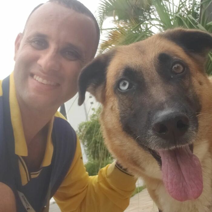 Mailman Takes Selfies With Every Animal That He Befriends While On His Job, And Here Are The Newest 44 Photos