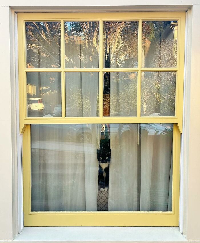  Esta es Eva de Albany, Nueva York, por @marcykentzjewelry