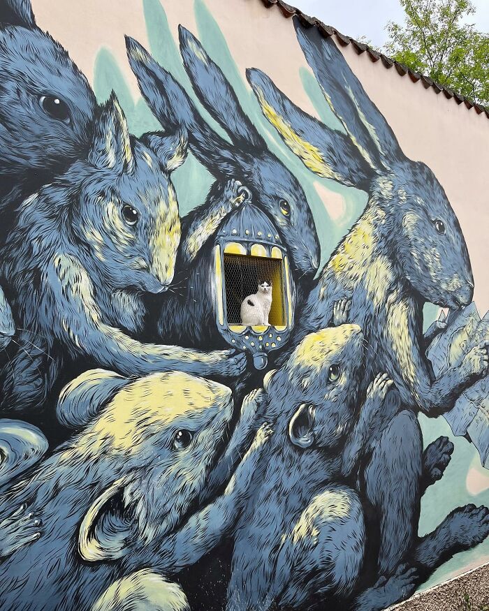 Tomada en Santarcangelo Di Romagna, Italia, por @filipp_ci