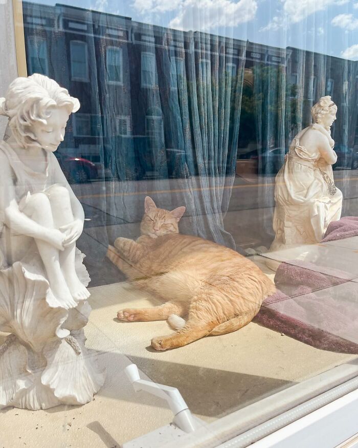 Tomada en Baltimore, Maryland, por @skodaley