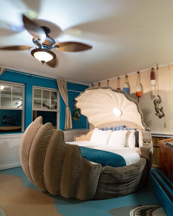 Adventure Suites In North Cornway, North Hampshire