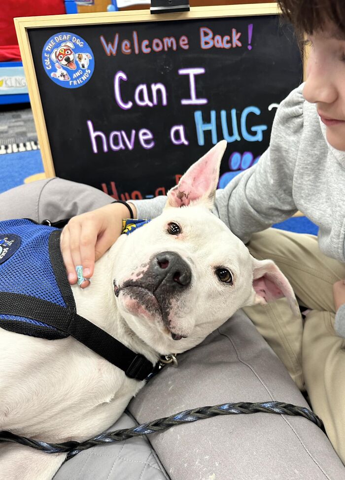 School kids petting a deaf therapy dog wearing a blue harness in front of a "Welcome Back" sign.