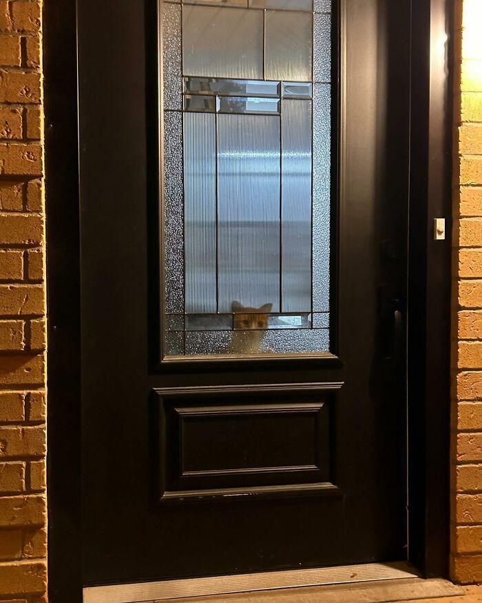 Tomada en Toronto, Canadá, por @courtney.m