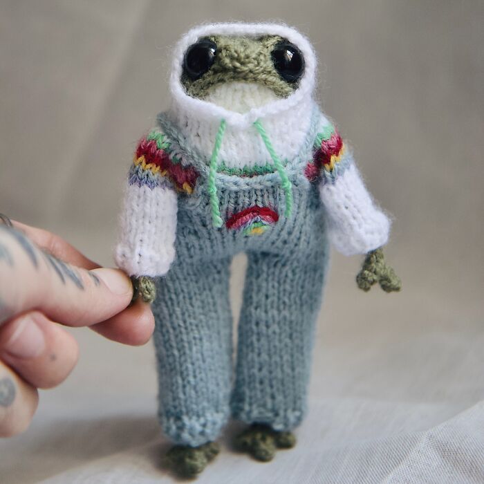 Miniature frog in knitted outfit with rainbow hoodie, crafted by a French knitter.