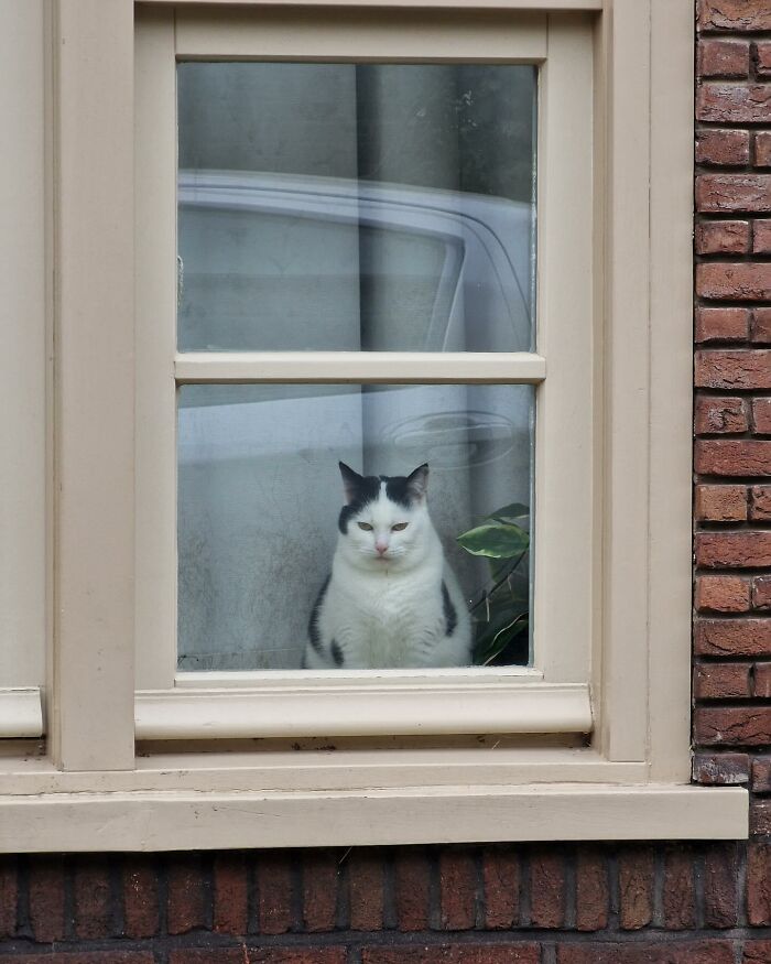 Tomada en Leiden, Países Bajos, por @theprintedcat