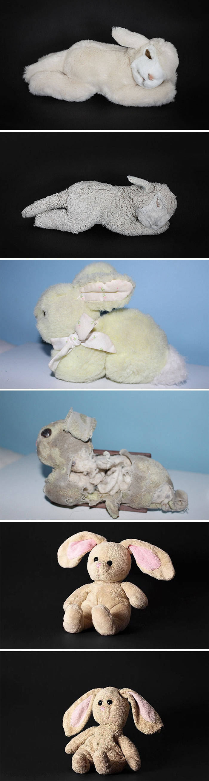 Collection of old and new stuffed bunny toys showing wear and restoration in a random and interesting facts post.