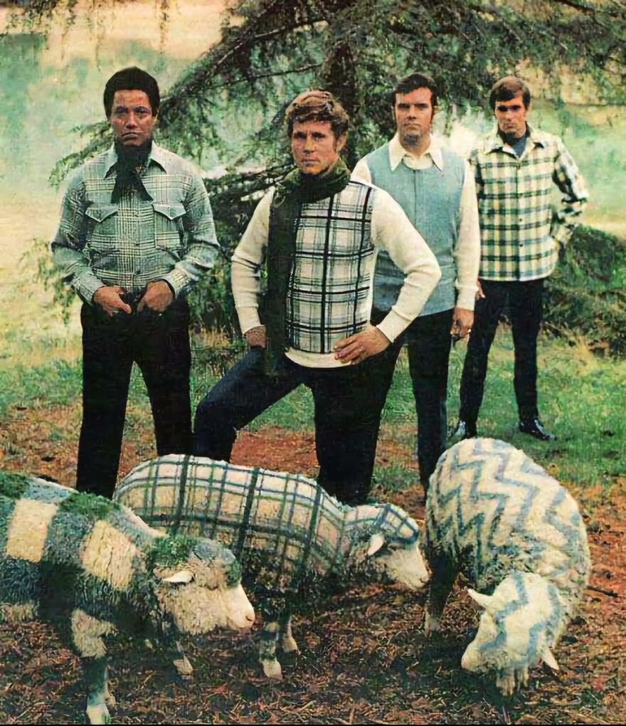 Men wearing plaid with plaid sheep, showcasing unique fashion in an outdoor setting.