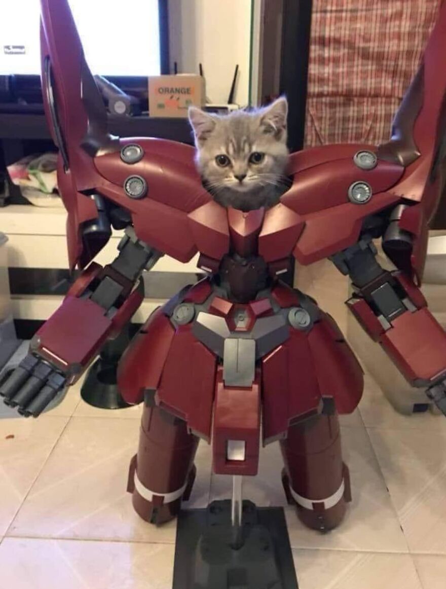 Cat in a robotic mech suit, looking fierce and adorable, a perfect example of pics that go hard.