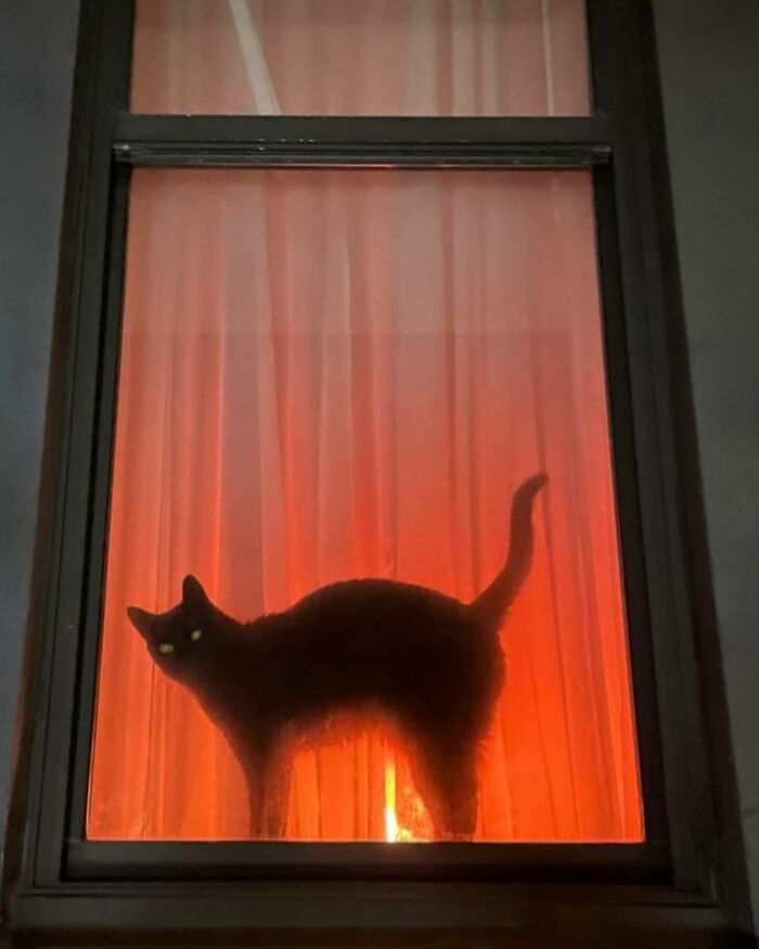 Tomada en Chicago, Illinois, por @sallysweere