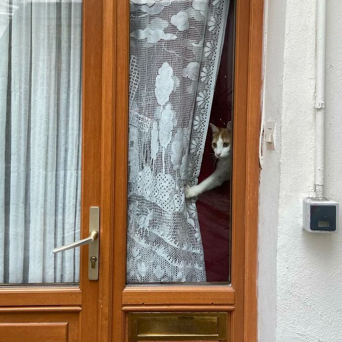 Tomada en París, Francia, por @eleonoreae_ @windowsplease