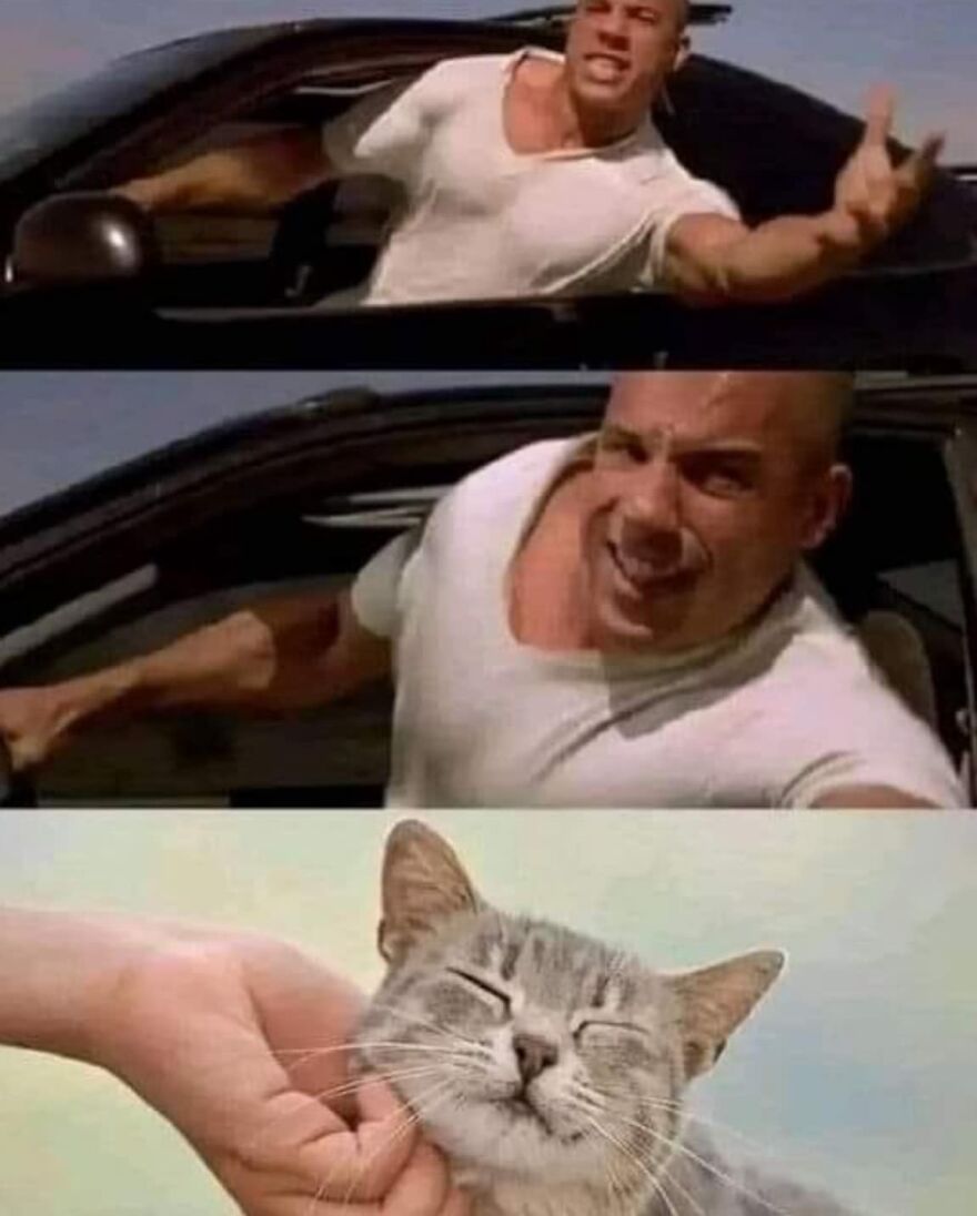 Man reaching from car in top panels; cat being petted happily in bottom panel. Humorous sequence from pics that go hard.