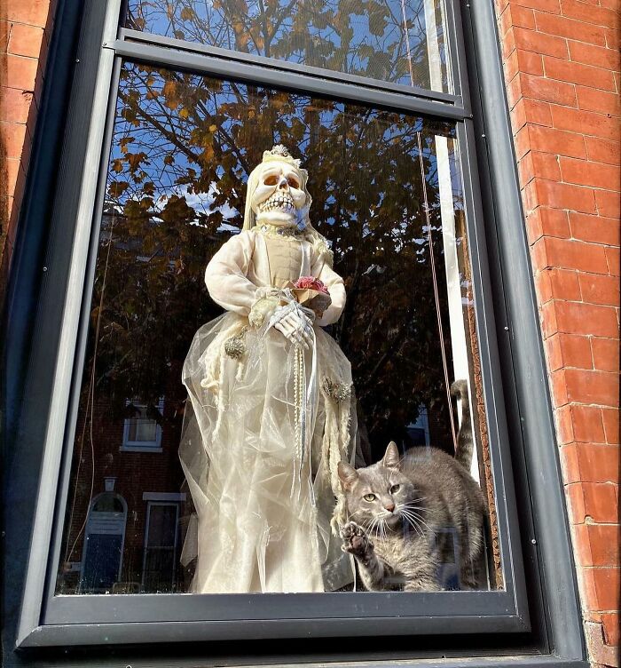 Tomada en Filadelfia, Pensilvania, por @lifewithflan