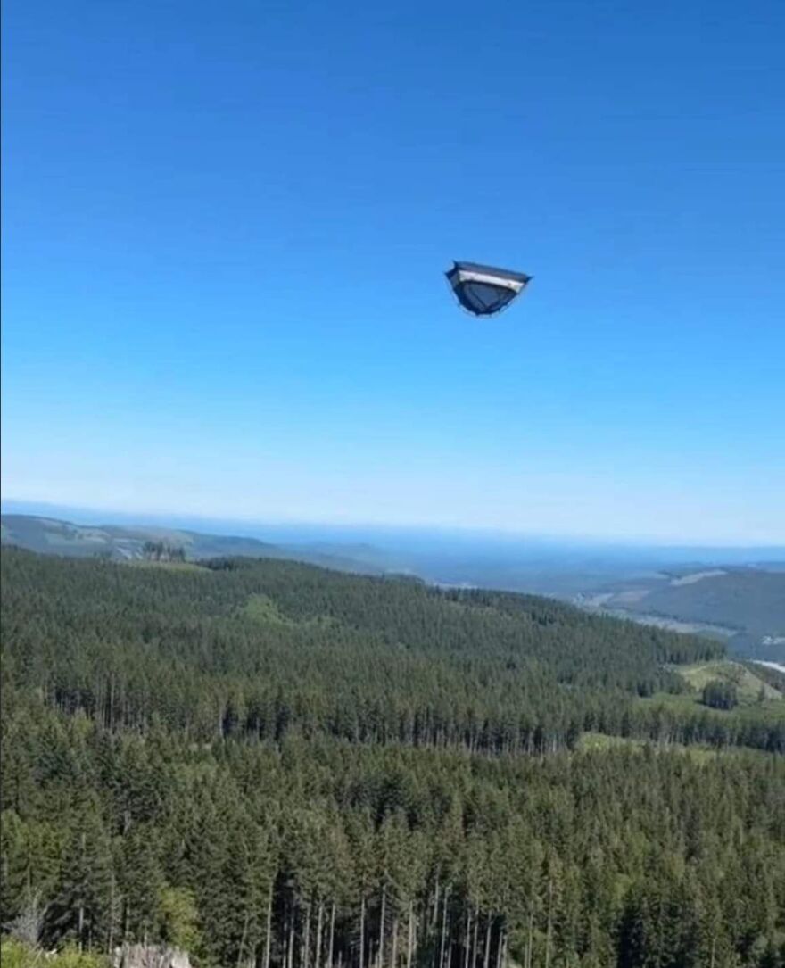 Forest landscape with a mysterious flying object in a clear blue sky, showcasing unique pics that go hard.