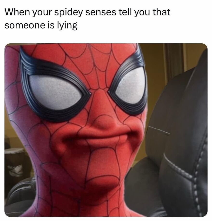 Spider-Man meme with a smirk, captioned "When your spidey senses tell you that someone is lying," conveying funny meme humor.