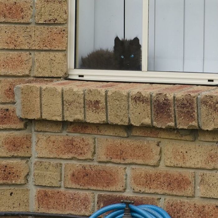 Tomada en Australia, por @sublurb