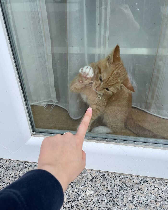 Tomada en Alemania, por @novmiu