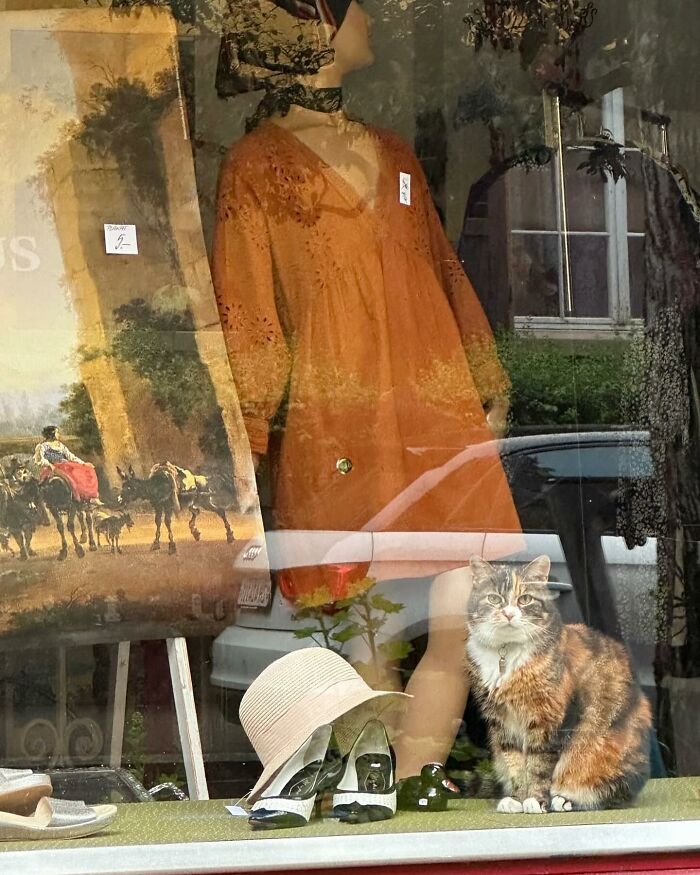 Tomada en Zürich, Suiza, por @ksssxk