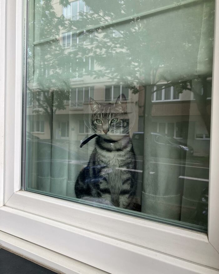 Tomada en Bruselas, Bélgica, por @sarboom