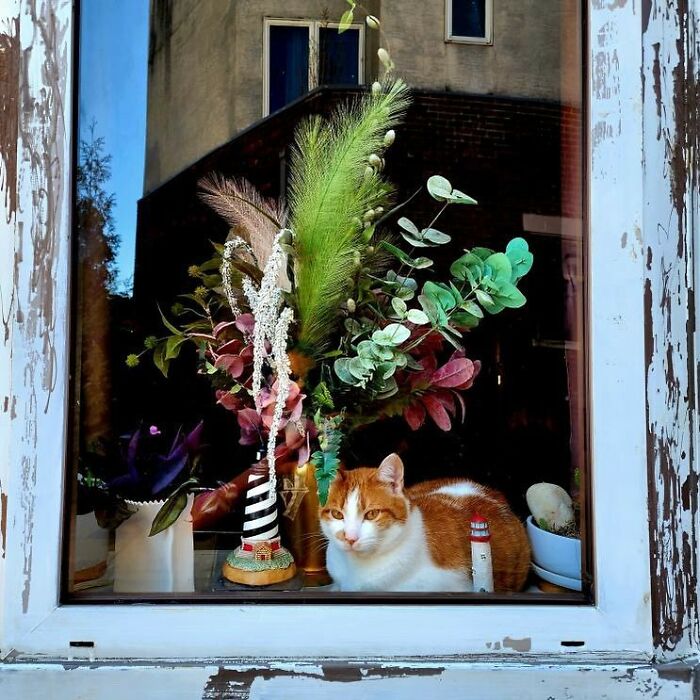 Tomada en el sur de Filadelfia, Pensilvania, por @d0ugfry