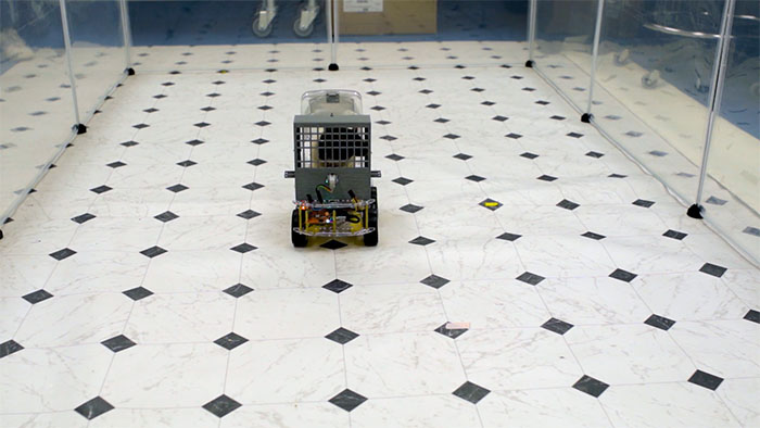 Rats Who Were Taught To Drive Enjoy Going For Rides, Rev The Engine As Soon As They Get In Rats Who Were Taught To Drive Enjoy Going For Rides, Rev The Engine As Soon As They Get In