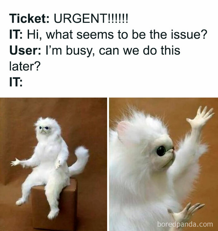 IT meme showing a confused white cat reacting to an urgent ticket with user saying they’re busy.