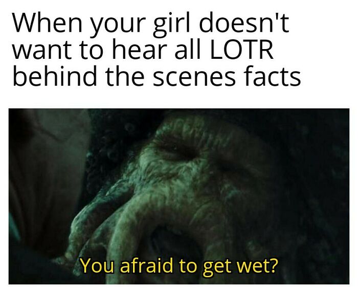 Did You Know That Vigo