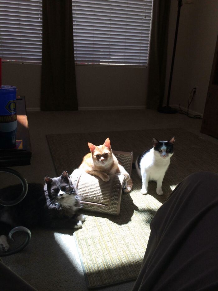 They Are Judging Me. The Verdict Is In!