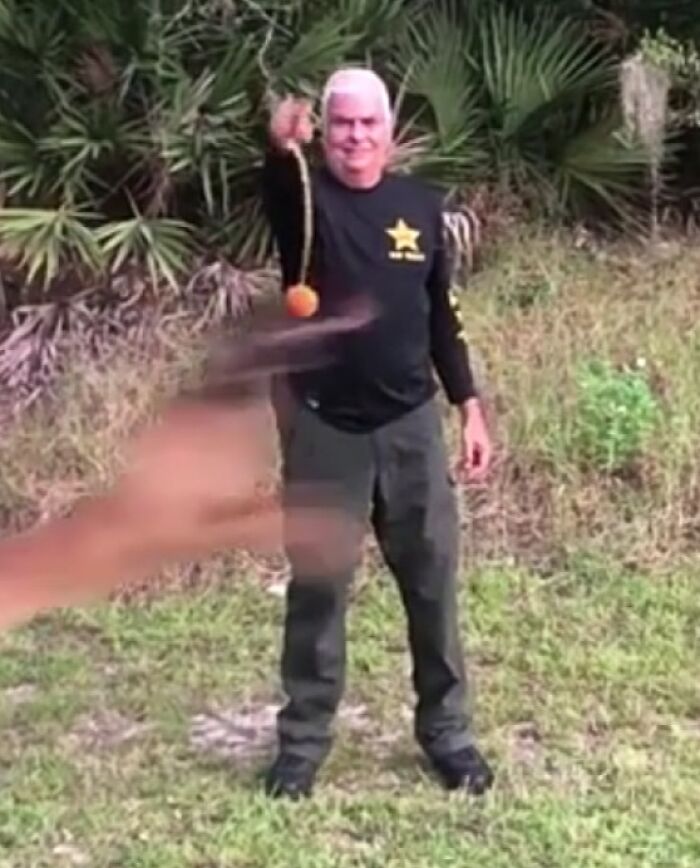 Blurry Picture Of Dog