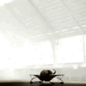 davidharcombe avatar