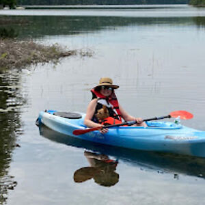 rachelferguson_1 avatar