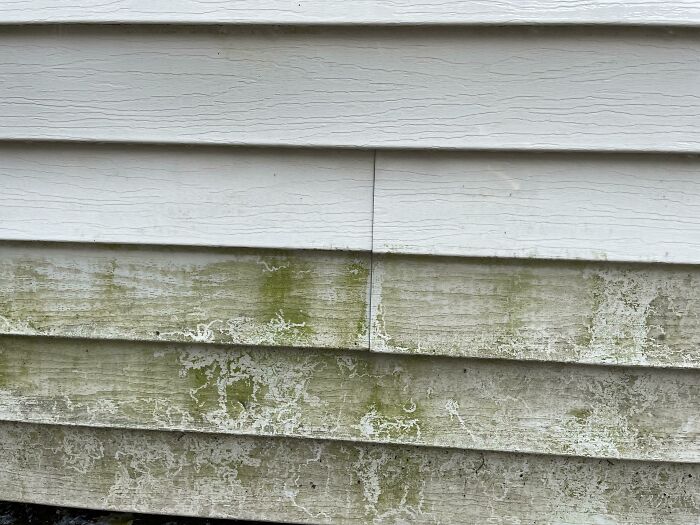 First Time Using A Pressure Washer. Extremely Satisfying