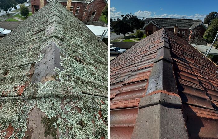 Power washed roof before and after, showing satisfying transformation of shingles from moss-covered to clean.
