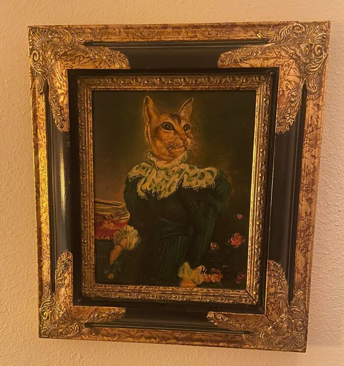 Got This Today At My Local Thrift For $6.00