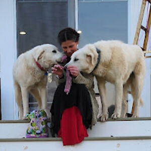 michellepitsiokos avatar