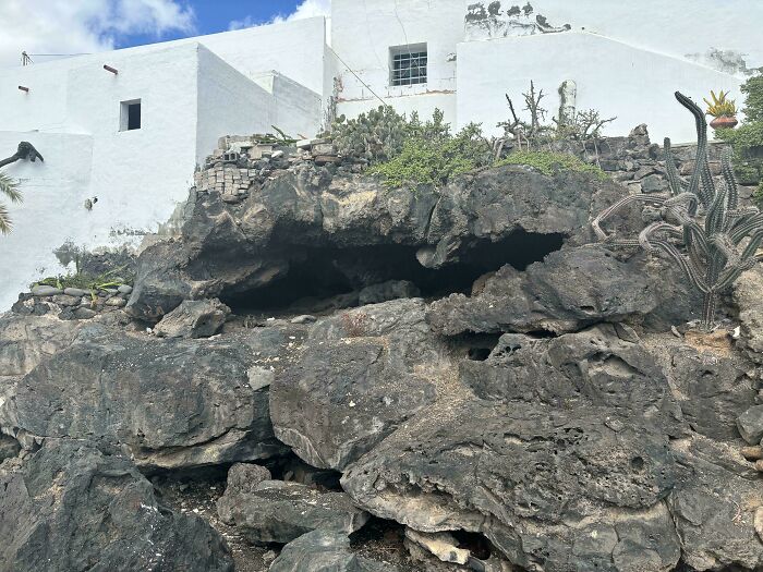 Find The Cats! There Are 3