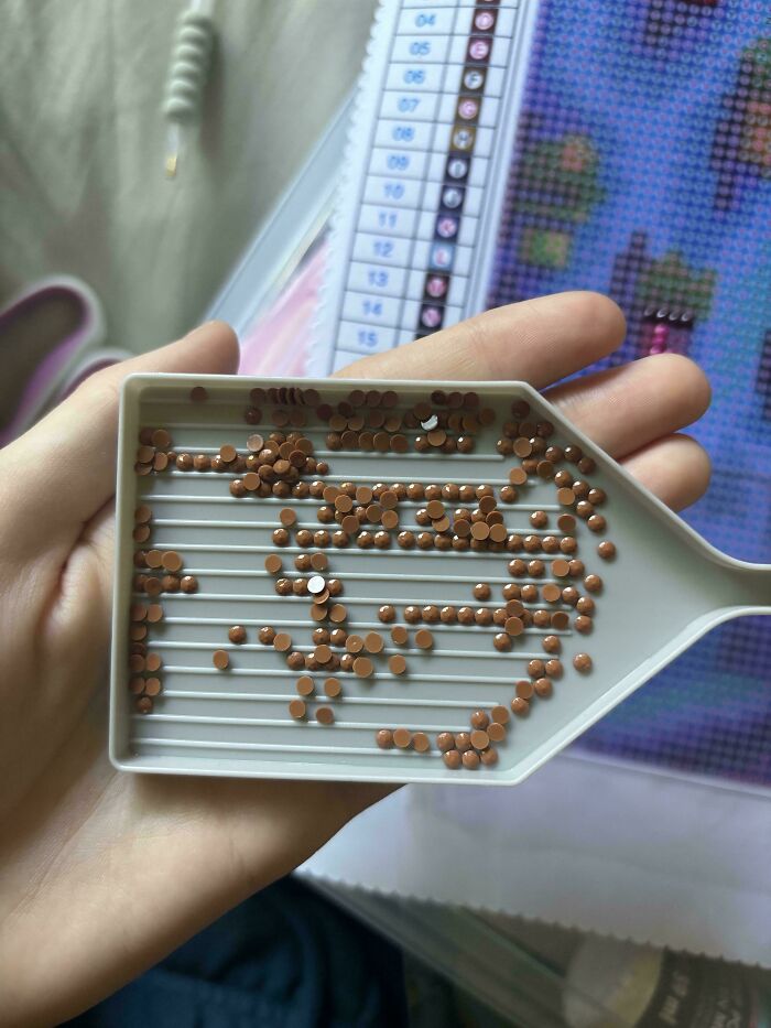 Find The Tiny Brown Diamond !