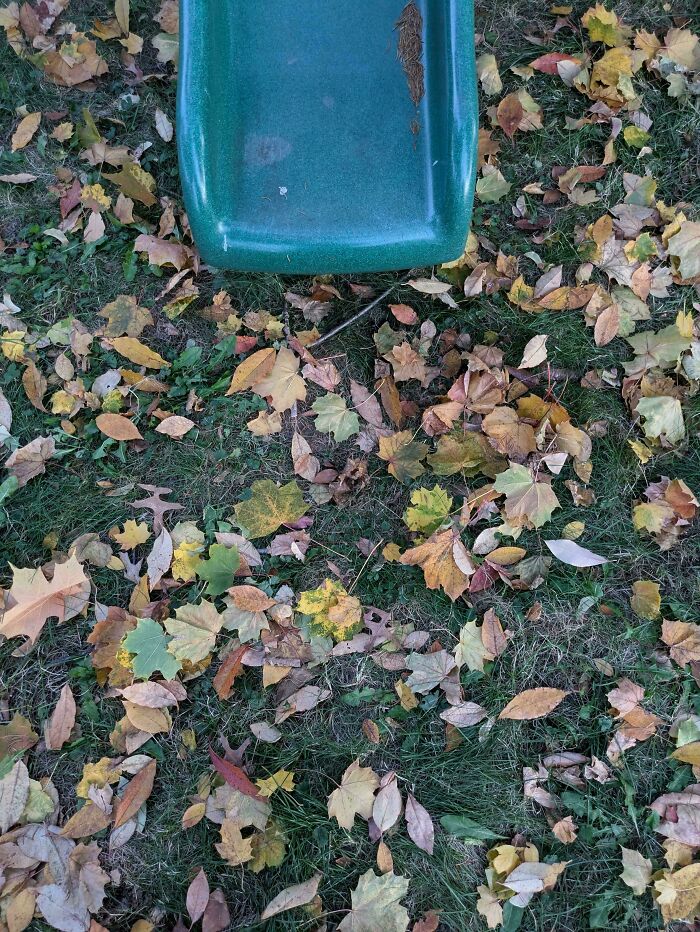 Find My Child's Toy Batman He Lost By Our Slide