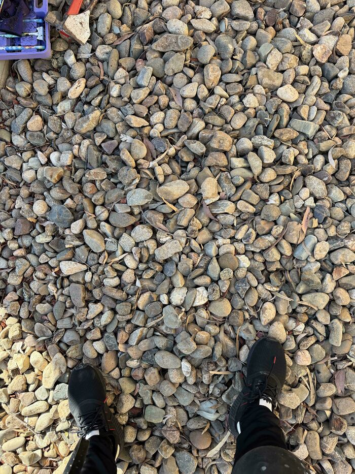 Where's My Yellow Screw??