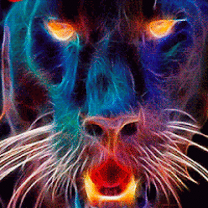 shilohenselberg avatar