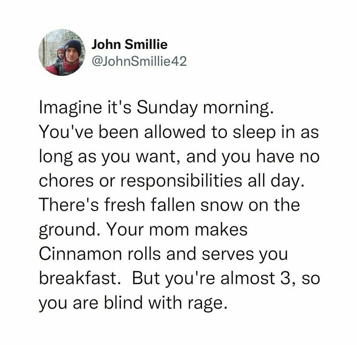 Tweet humor about sleeping in, cinnamon rolls, and childhood rage featured in hilarious tweets shared on social media.