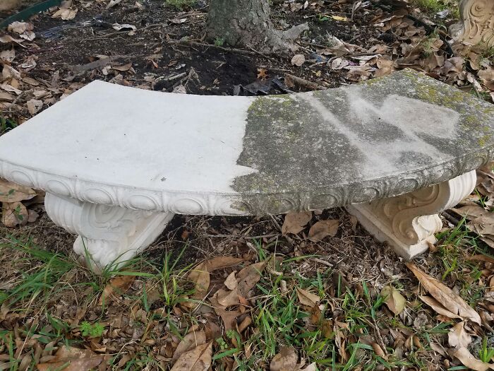 Power washed stone bench showing half clean and half dirty, highlighting satisfying transformation.