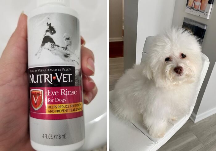 Those Adorable Puppy Eyes Getting A Little Tear-Stained? Keep Them Clean And Bright With A Gentle Nutri-Vet Eye Rinse For Dogs
